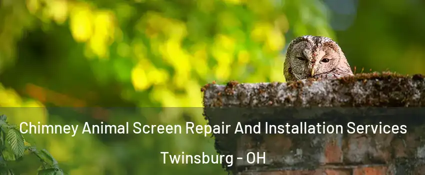  Chimney Animal Screen Repair And Installation Services Twinsburg - OH