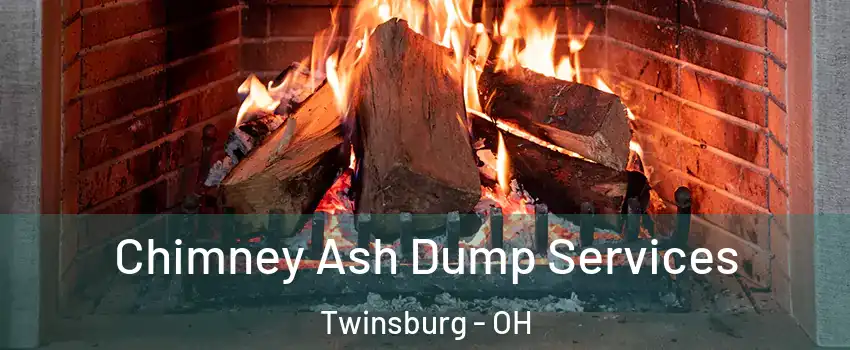  Chimney Ash Dump Services Twinsburg - OH