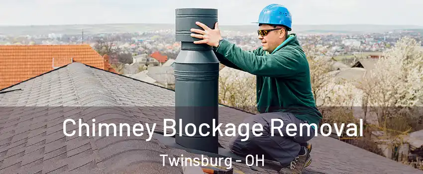 Chimney Blockage Removal Twinsburg - OH
