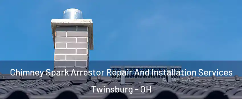  Chimney Spark Arrestor Repair And Installation Services Twinsburg - OH