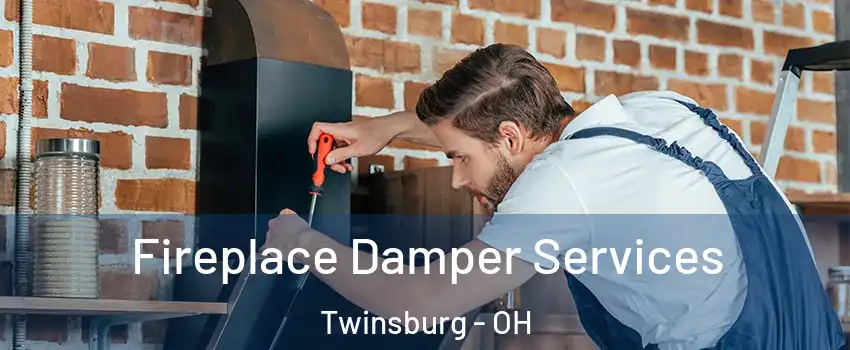  Fireplace Damper Services Twinsburg - OH