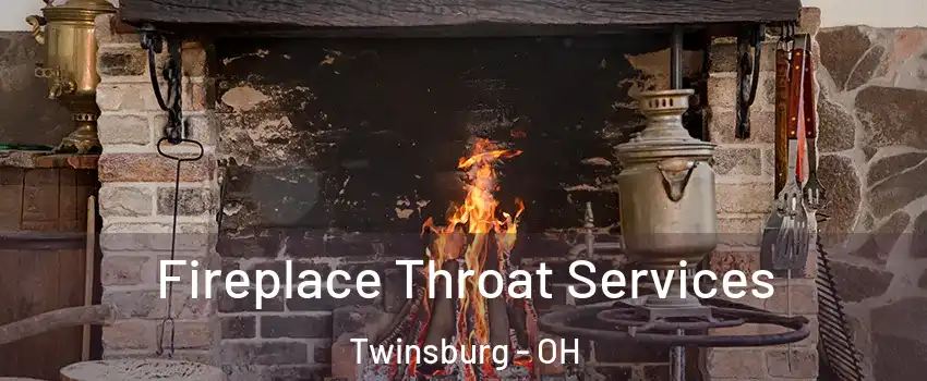  Fireplace Throat Services Twinsburg - OH