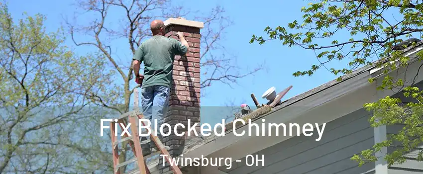  Fix Blocked Chimney Twinsburg - OH