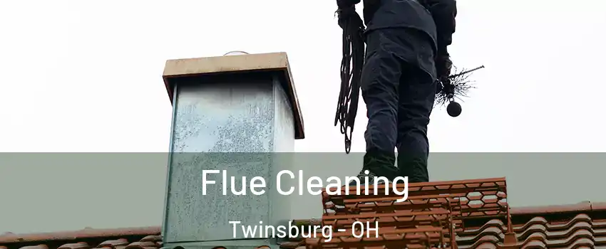  Flue Cleaning Twinsburg - OH