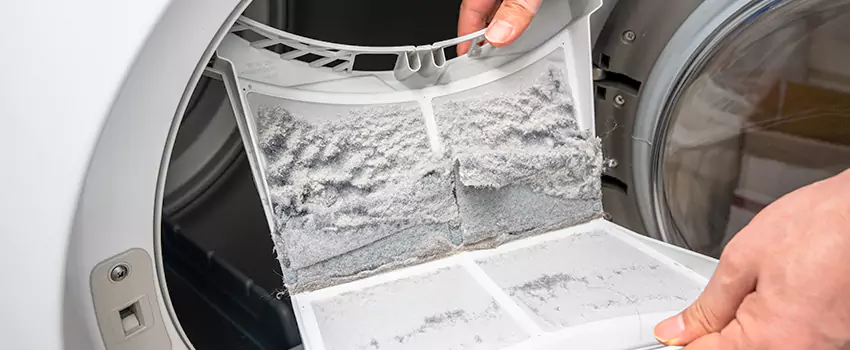 Best Dryer Lint Removal Company in Twinsburg, Ohio