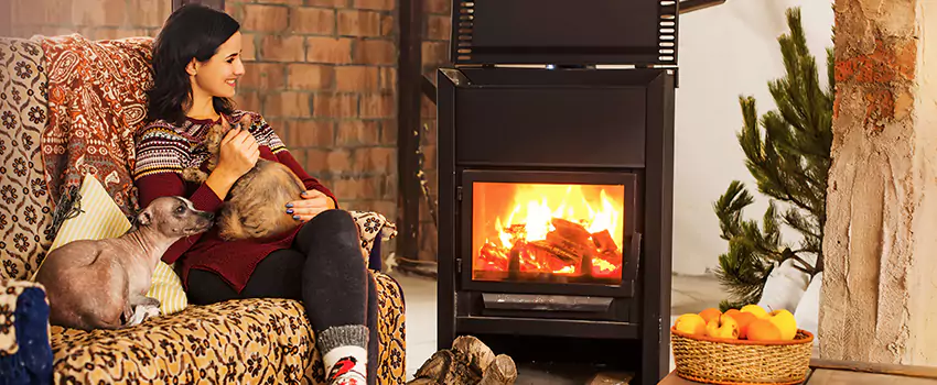 Wood Stove Chimney Cleaning Services in Twinsburg, OH