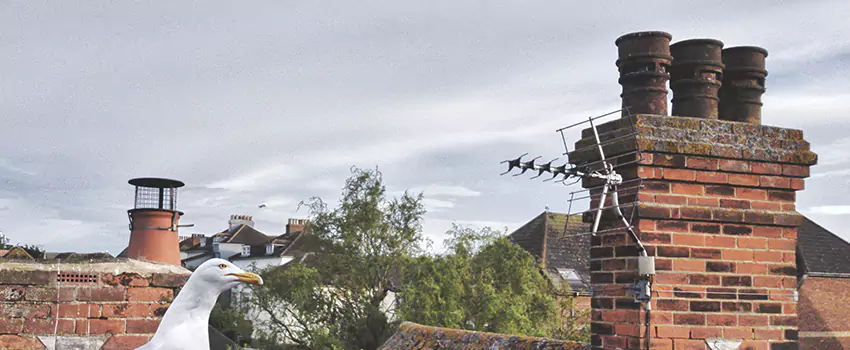 Chimney Cleaning And Restoration in Twinsburg, Ohio