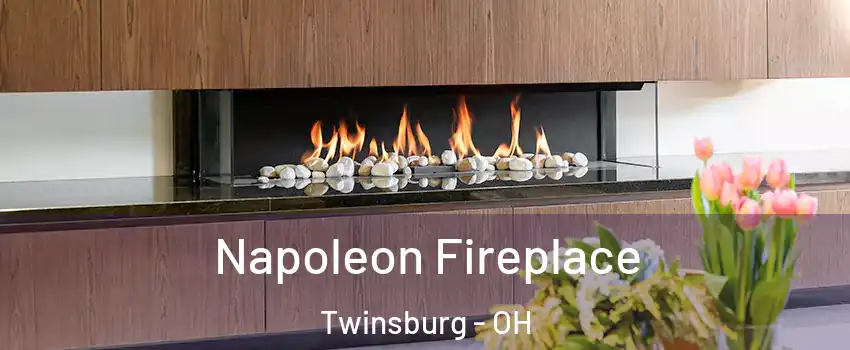  Napoleon Fireplace Twinsburg - OH
